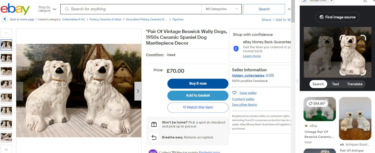 Ebay resuts for dog image search