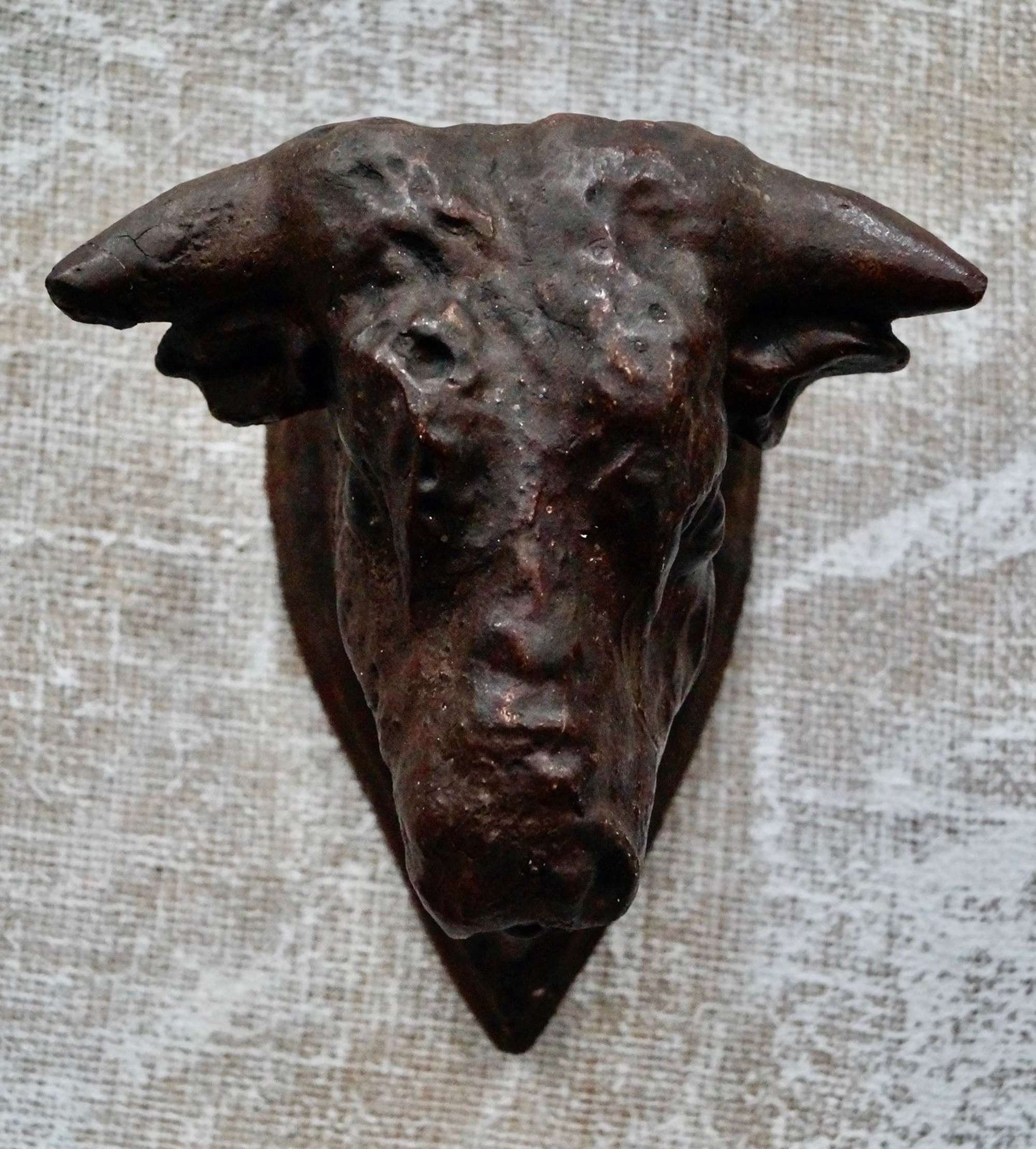 Antique French Boucherie  Bull Head