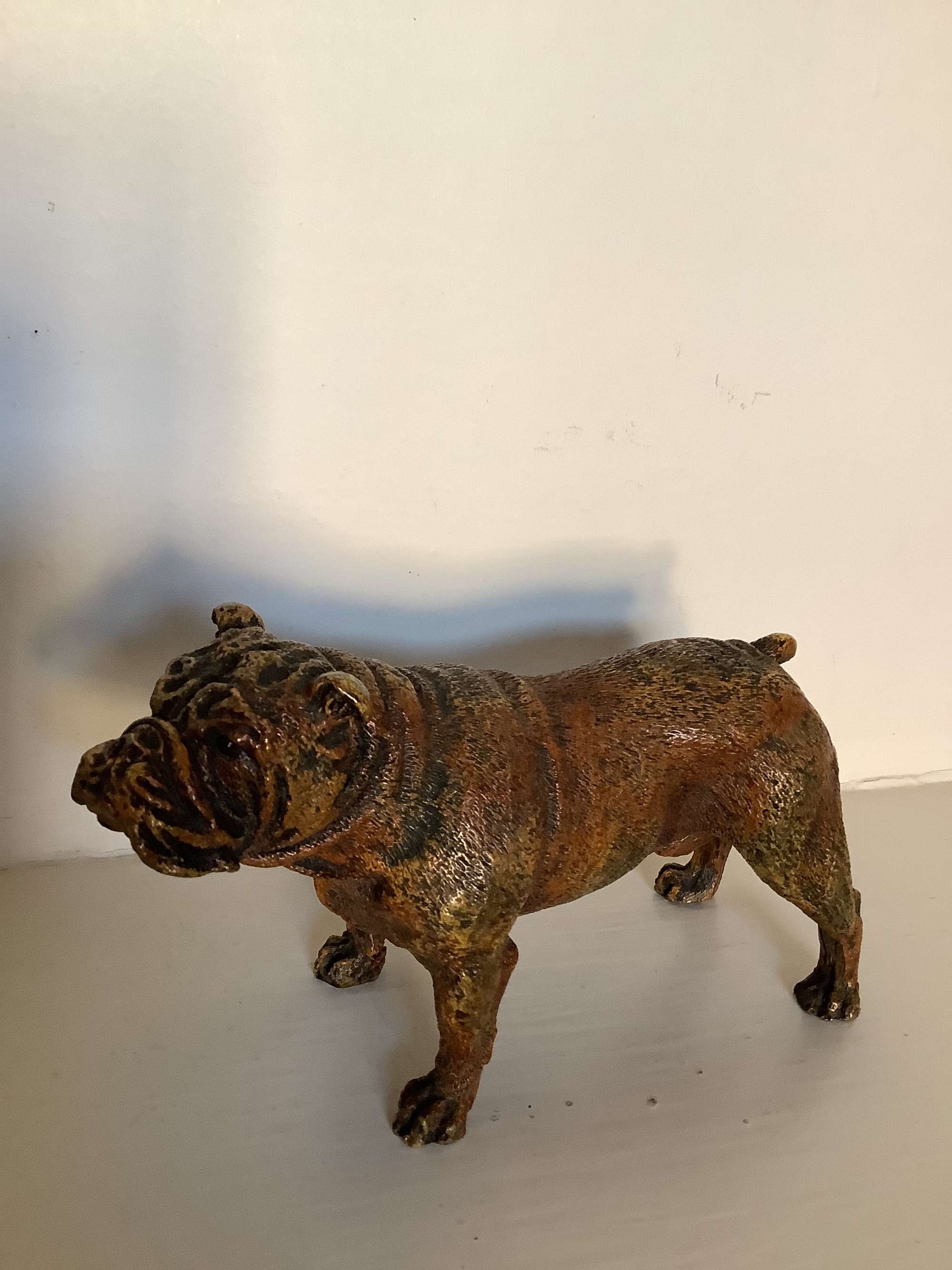 A very fine quality cold painted Vienna bronze of a bulldog marked Bergman