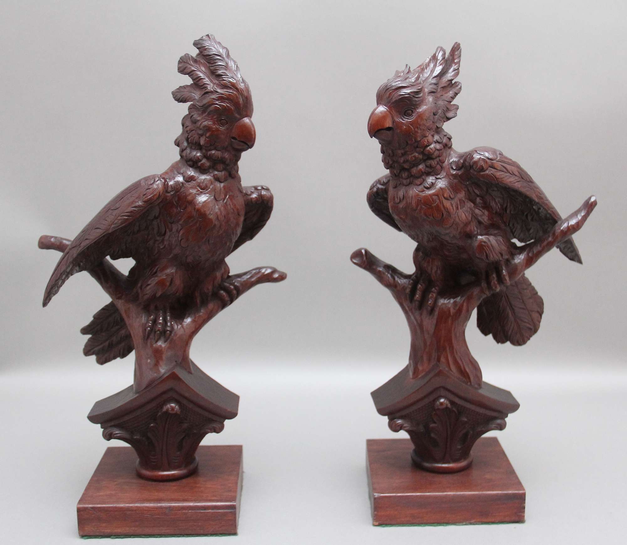 A Pair Of Decorative 19th Century Carved Walnut Parakeets