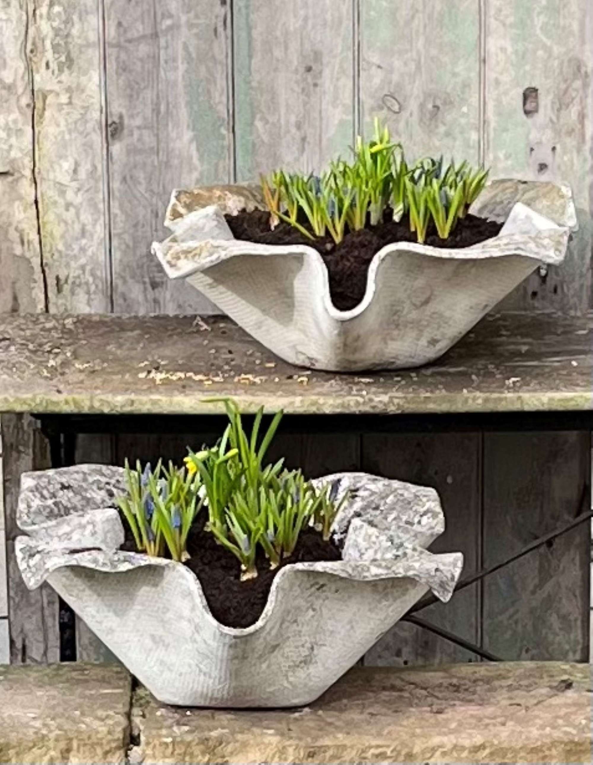 A Pair Of Sculptural Handkerchief Planters By Willy Guhl (1950s)