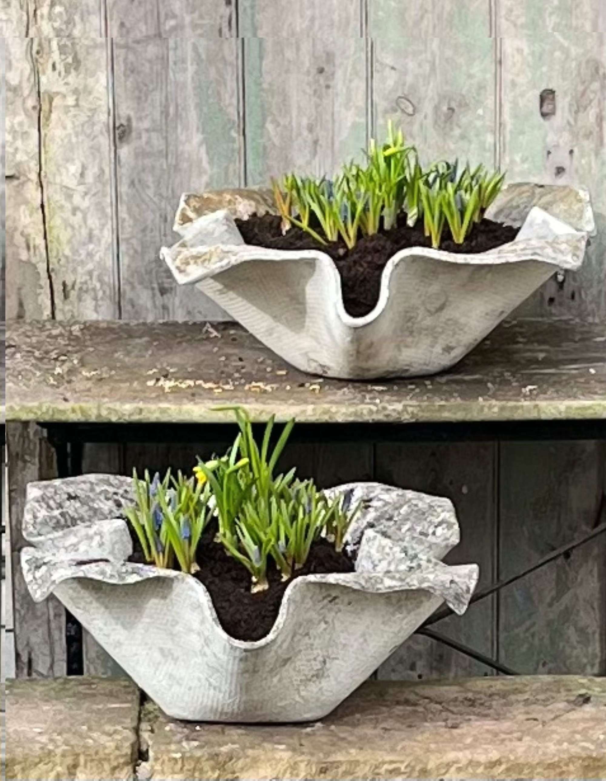 A Pair Of Sculptural 'handkerchief' Planters By Willy Guhl (1950s)
