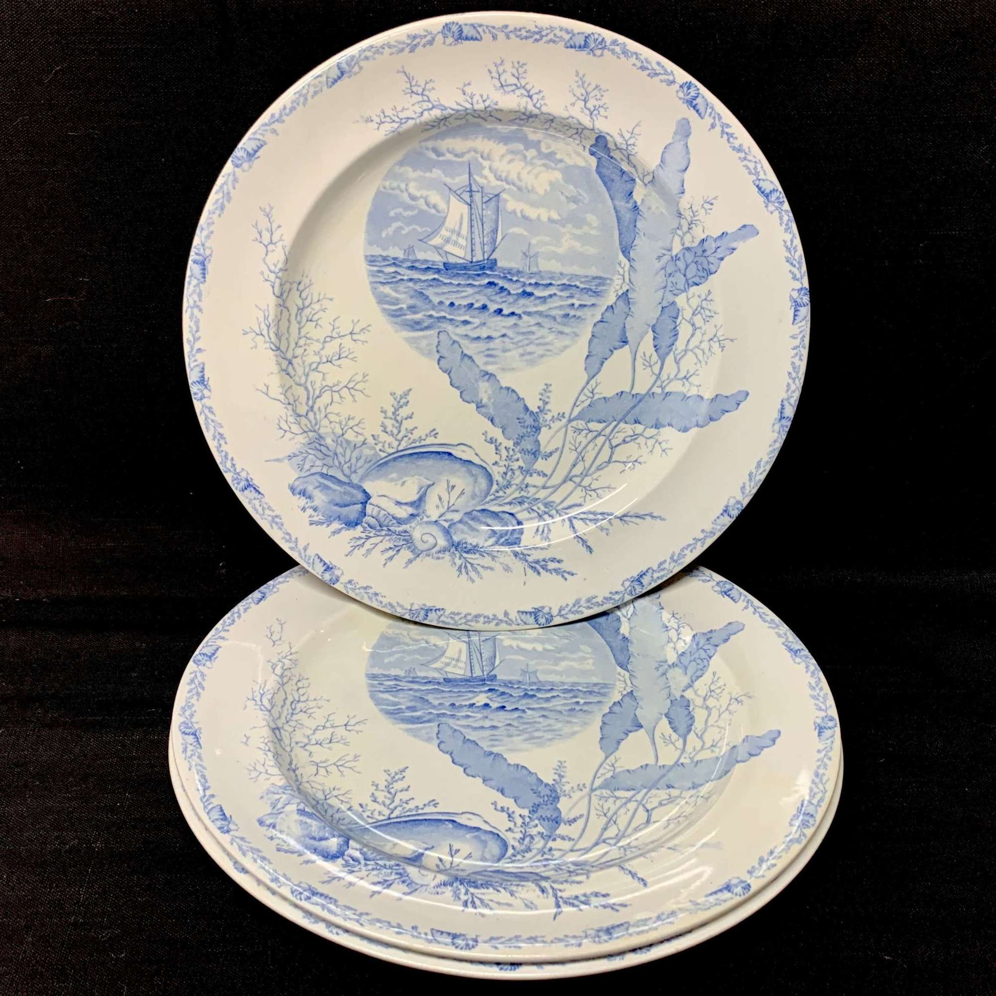 Victorian Blue Transferware Seashells Seaweed Plate ~ OCEANIC 1882