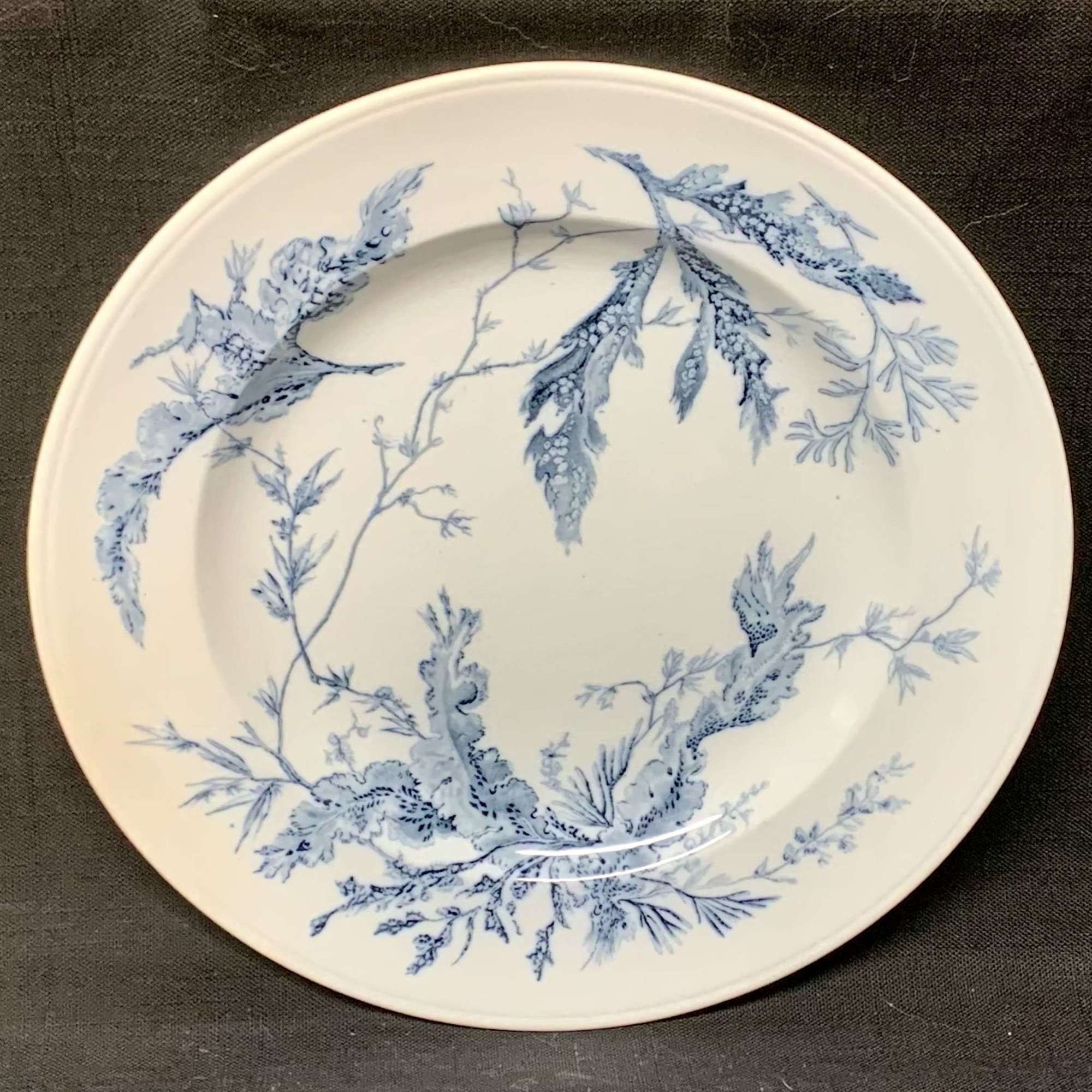 Blue Wedgwood Staffordshire Dinner Plate ~ SEAWEED 1883