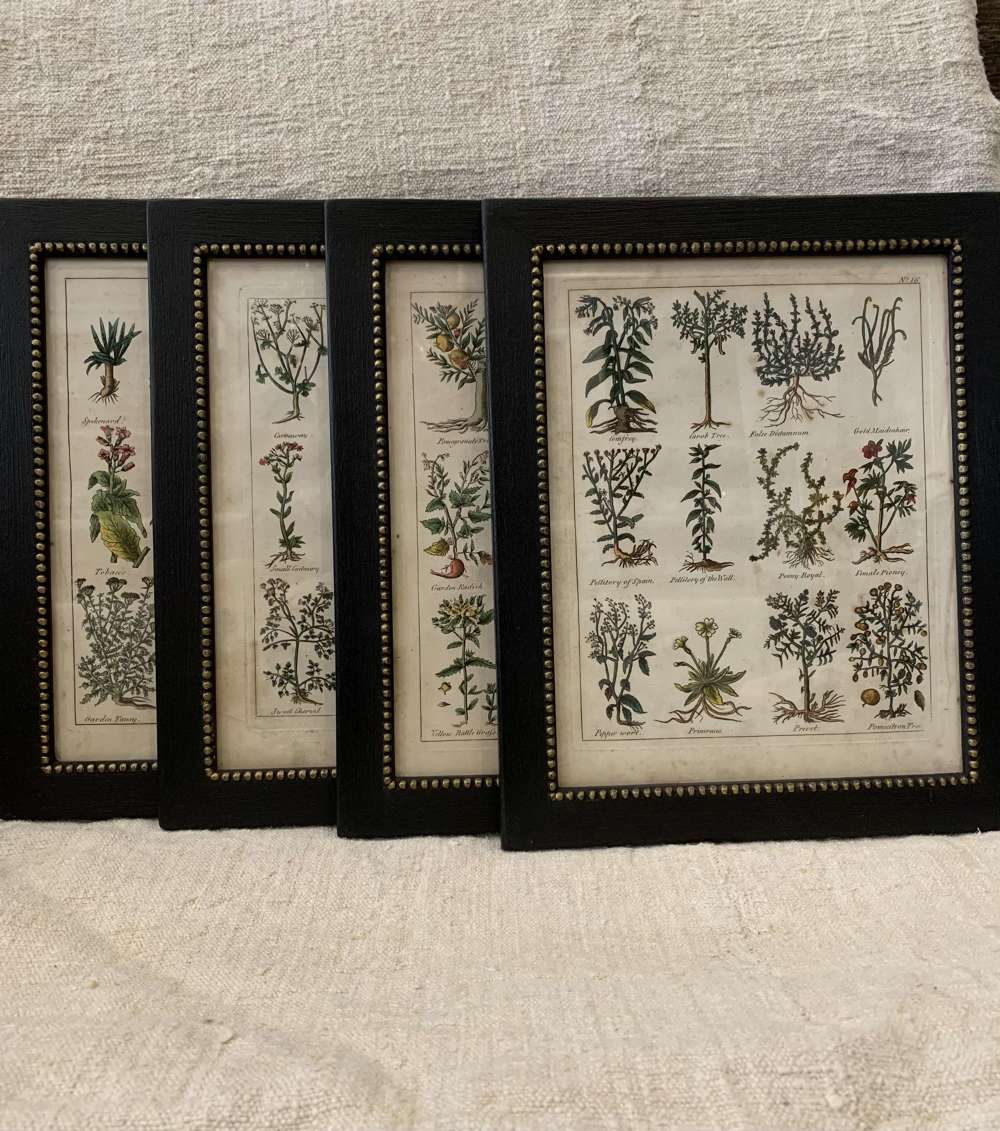 C18th century set of (4) Culpeper plates