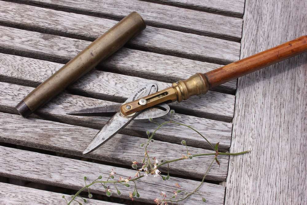 French Botanist Walking Cane. Ceuilleuse Dubois C1880.