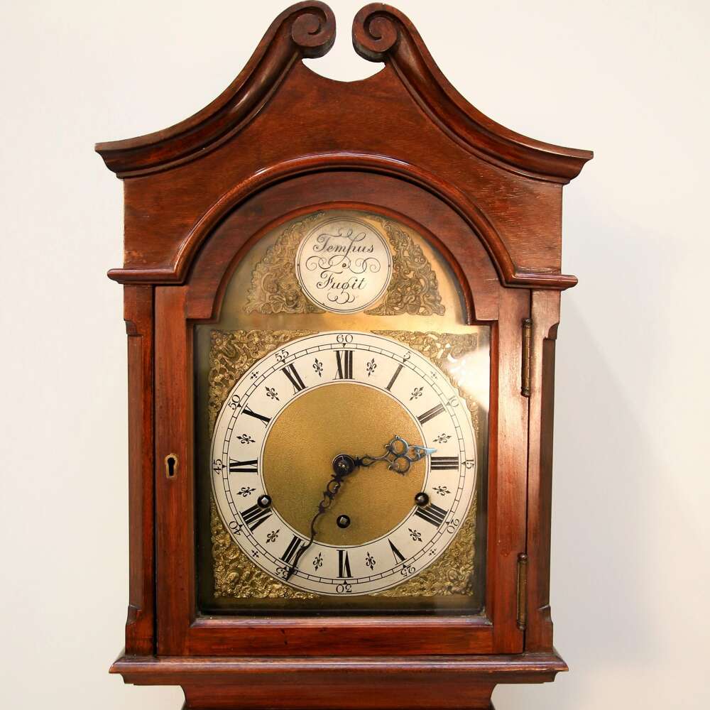 A 20th century Tempus Fugit Long Case Clock