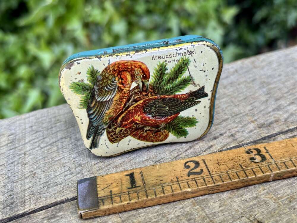 Hartwig Vogel Bird Image Chocolate Sample Tin c1900s