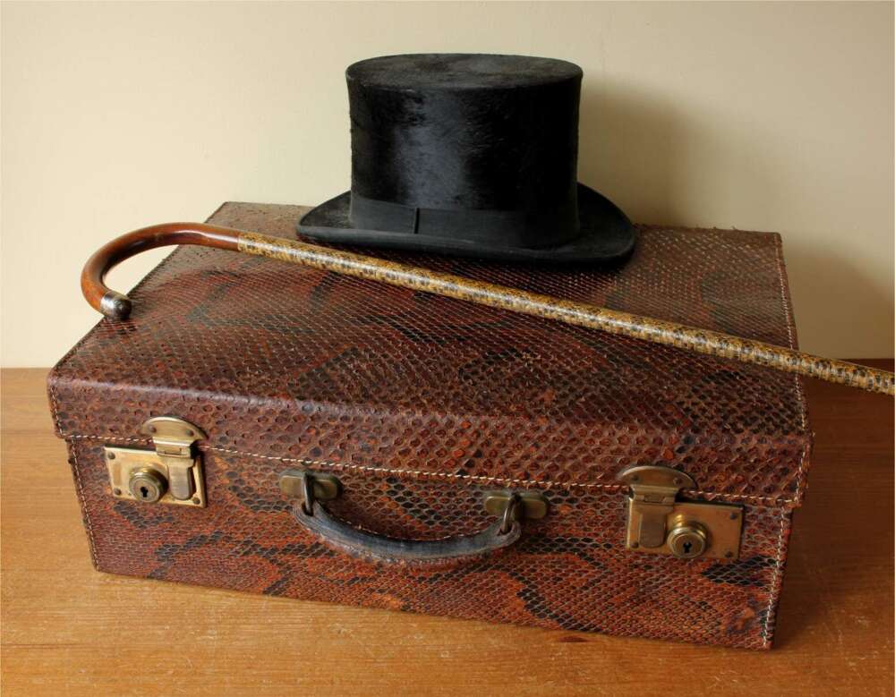 Genuine Snakeskin Leather Suitcase. Vanity Travel Trunk Case.