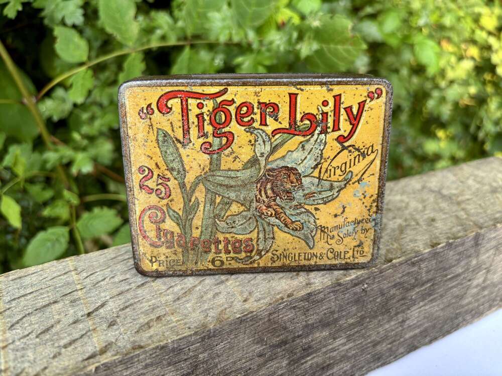 Tiger Lily Singleton & Cole 20 Cigarette Tin c1890s