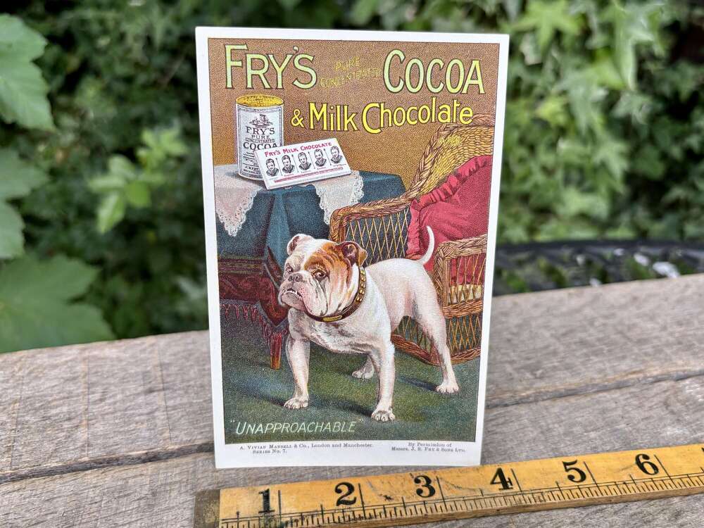 Fry's Chocolate Cocoa Bull Dog Advertising Post / Trade Card c1905
