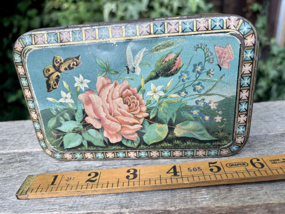 Victorian Butterfly & Insect Image Biscuit Tin c1900s