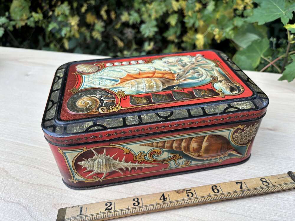 Superb Embossed Seashell seaside Shell Victorian Biscuit Tin c1900s