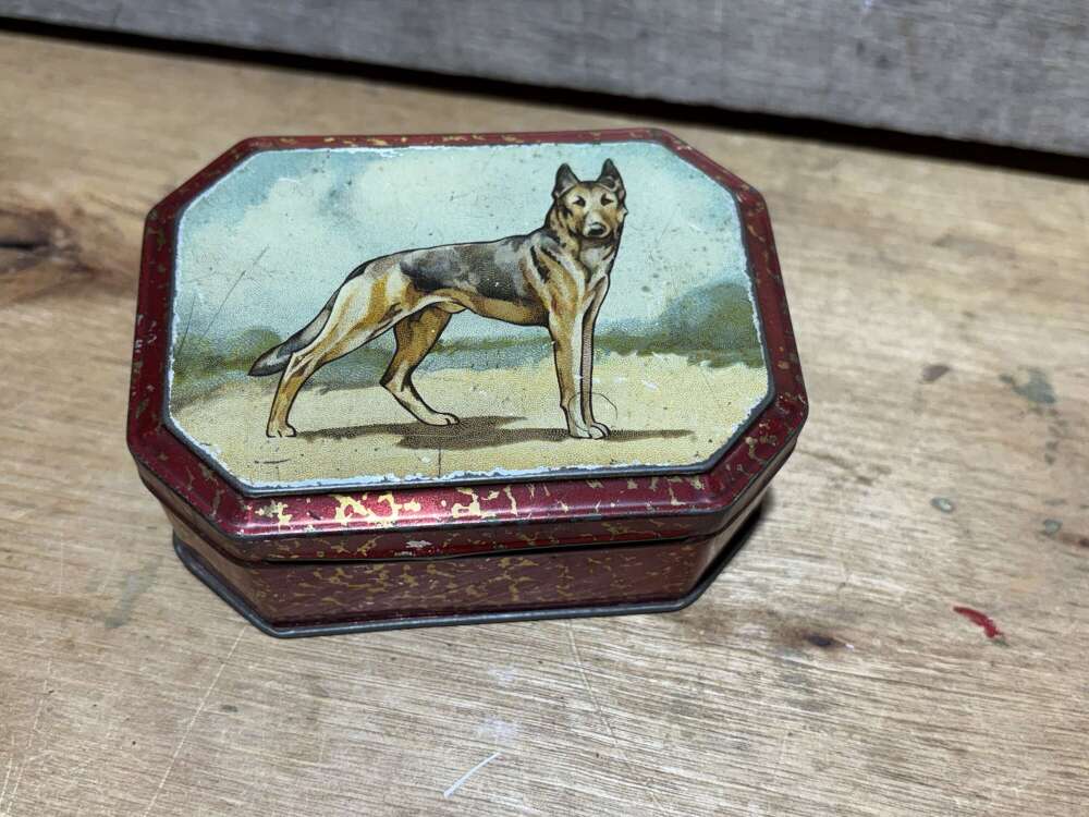German Shepherd Dog Image Biscuit Tin c1920s