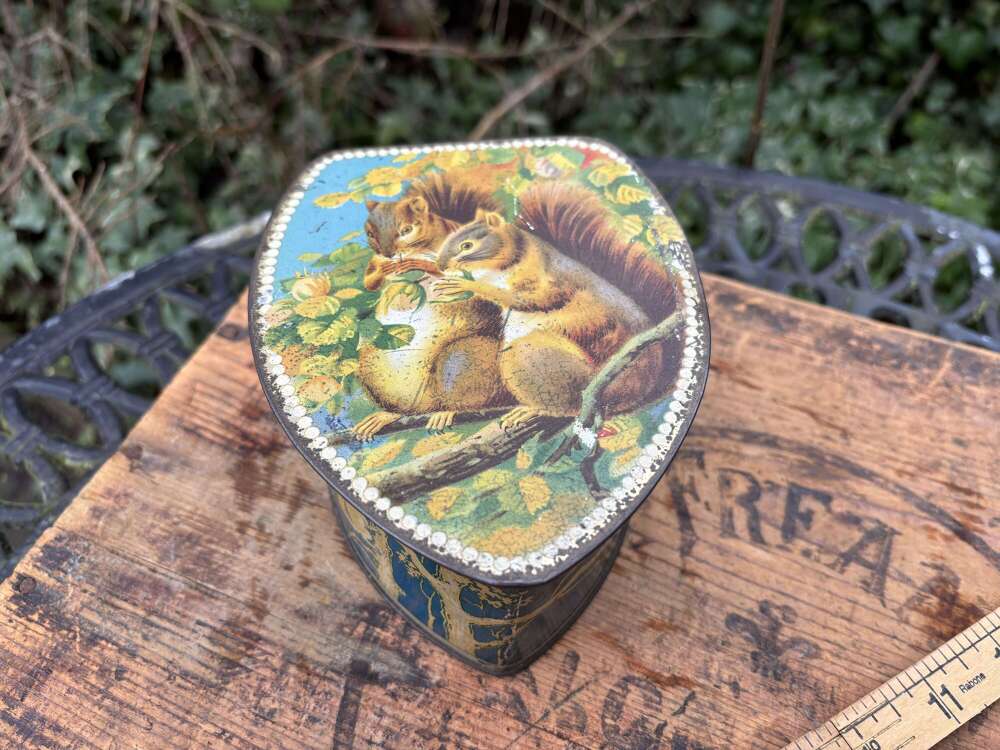 Victorian Squirrel Image Biscuit Tin c1900s