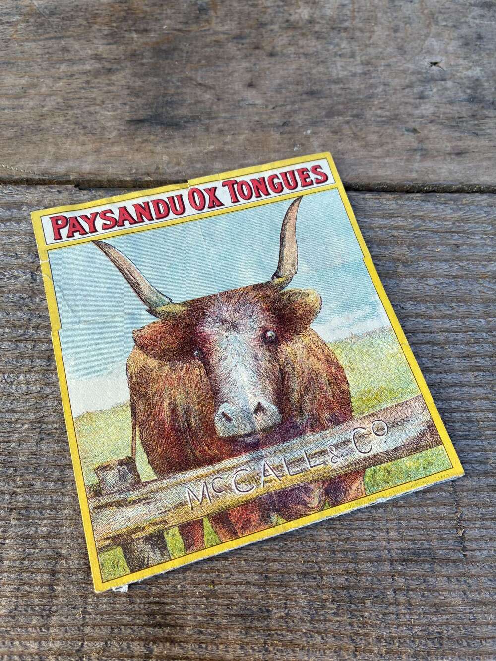 Early Mc Call & co paysandu ox tongues advertising fold down tradecard