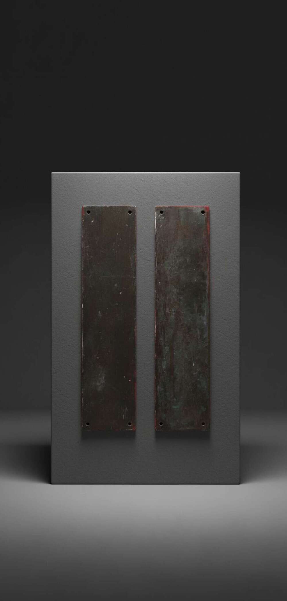 Early 20th century pair of patinated Brass door Fingerplates