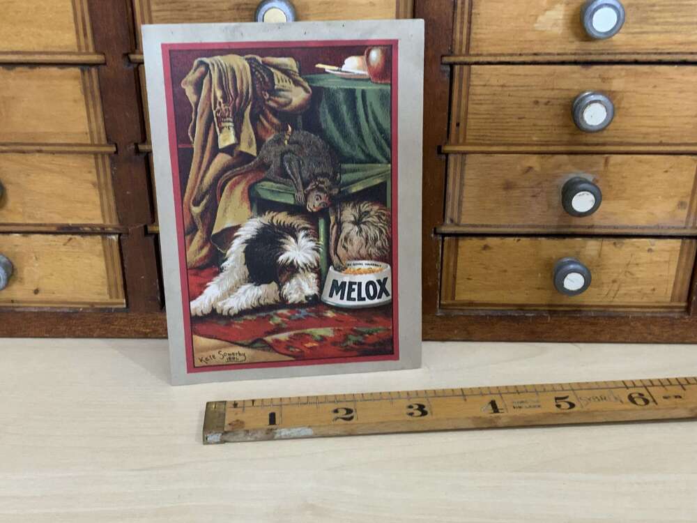Melox Dog & Vigam Poultry Food Food Advertising Trade Card Ephemera c1900s