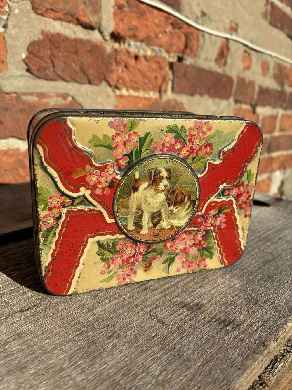 Beautiful early 'will it bite' dog printed biscuit tin