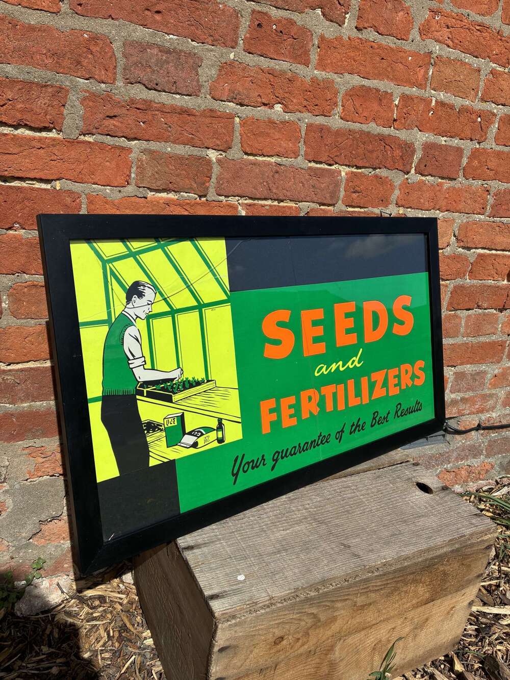 Unusual seeds and fertiliser gardening advertising poster
