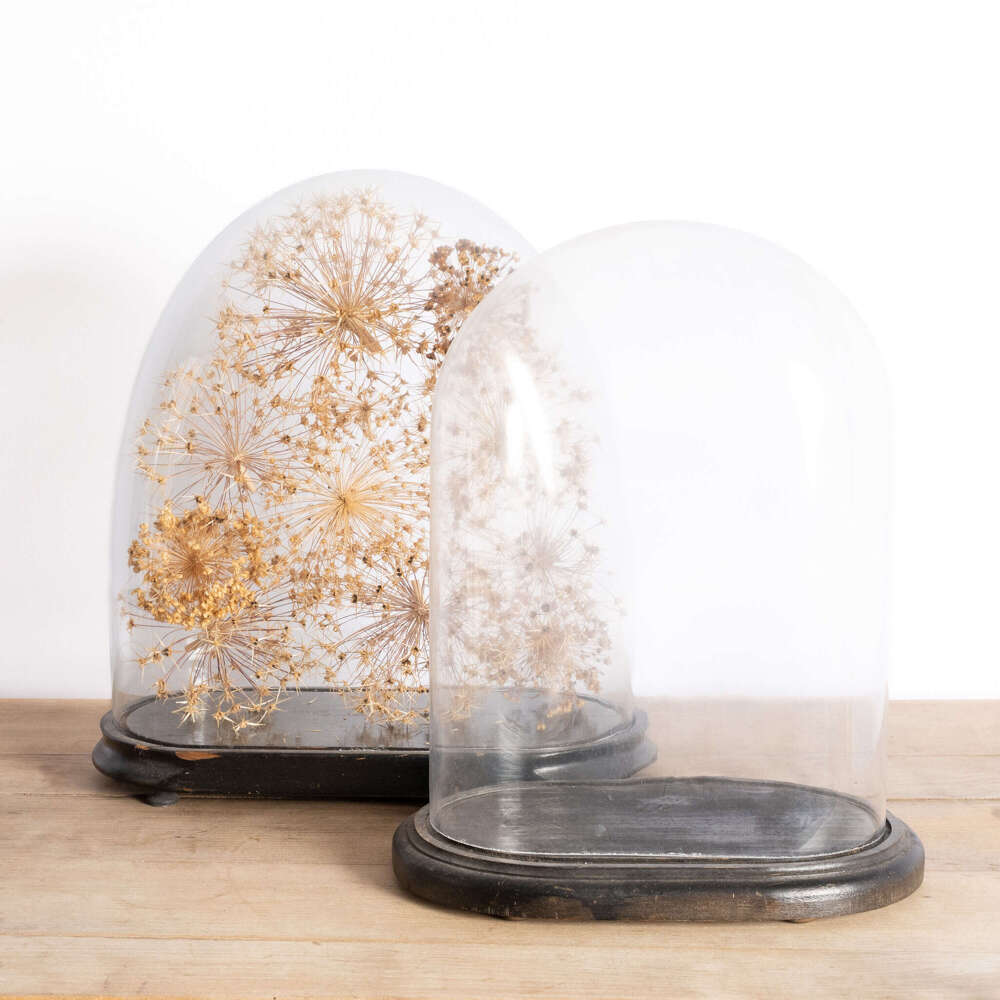 Large 19th Century Hand Blown Glass Domes