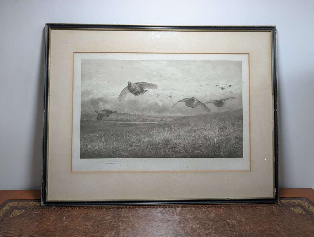 Archibald Thorburn signed 'Driven Partridge' photogravure, Lawrence and Bullen 1899