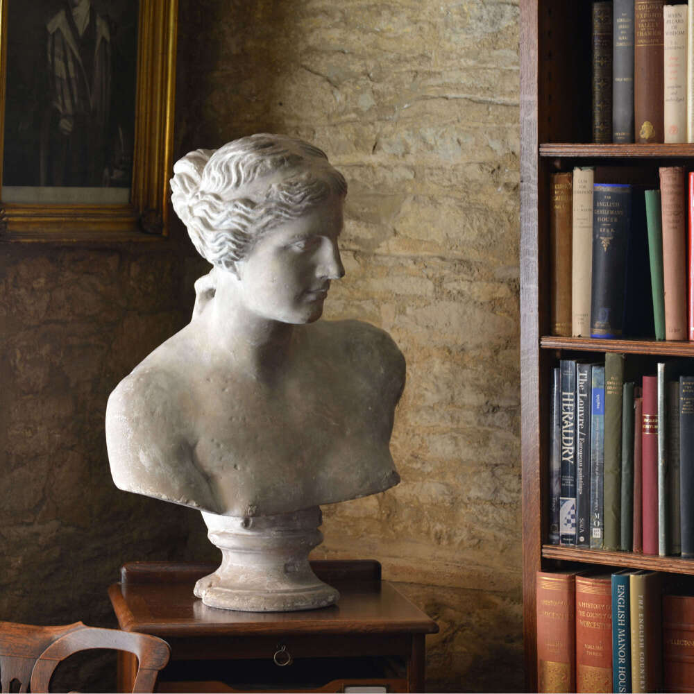 19th century plaster bust of Venus de Milo