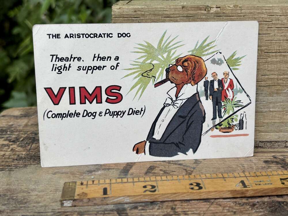 Vim's The Aristocratic Dog Food Advertising Trade Post Card Ephemera c1900s