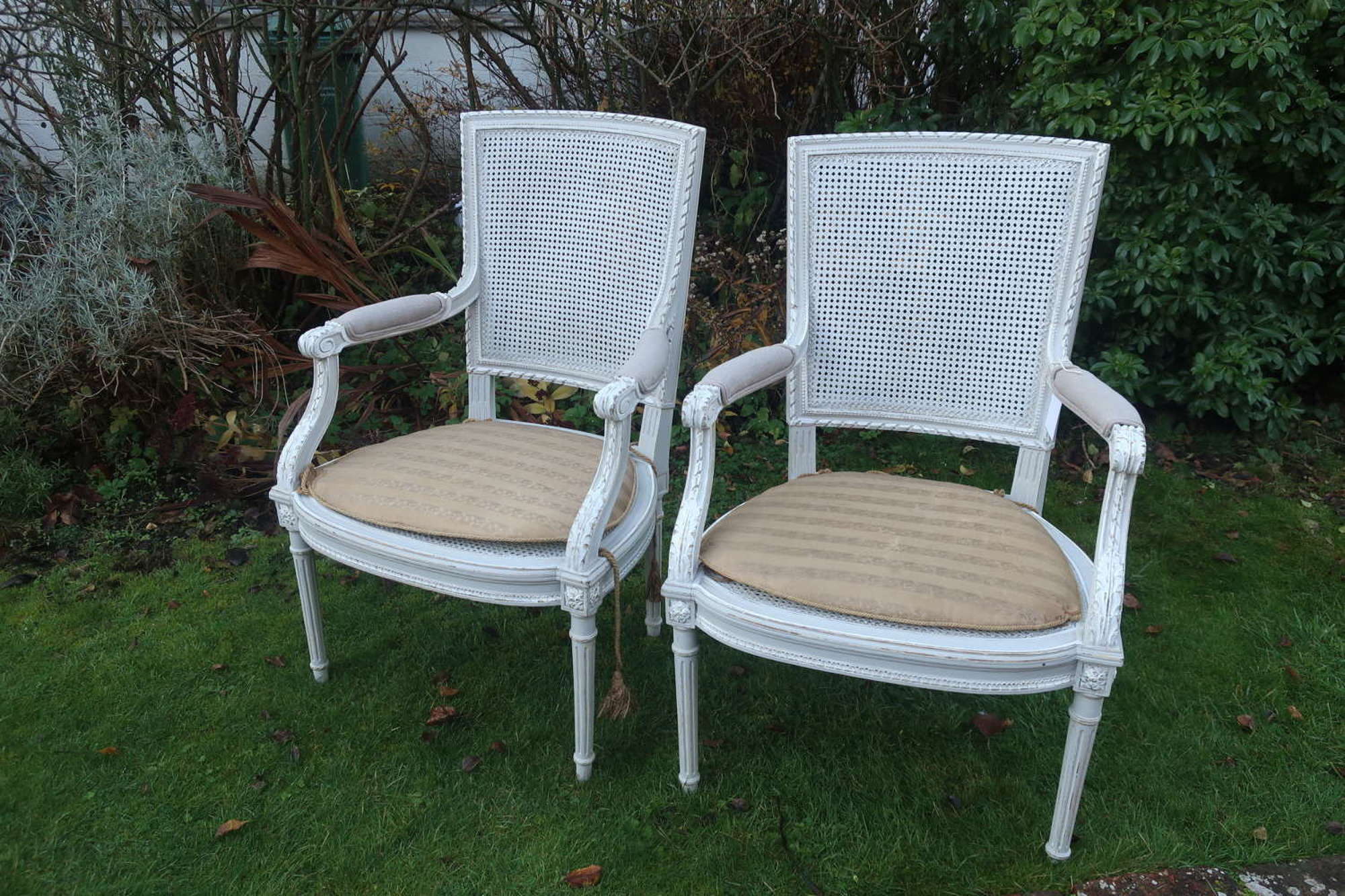 Pair of cane Armchairs