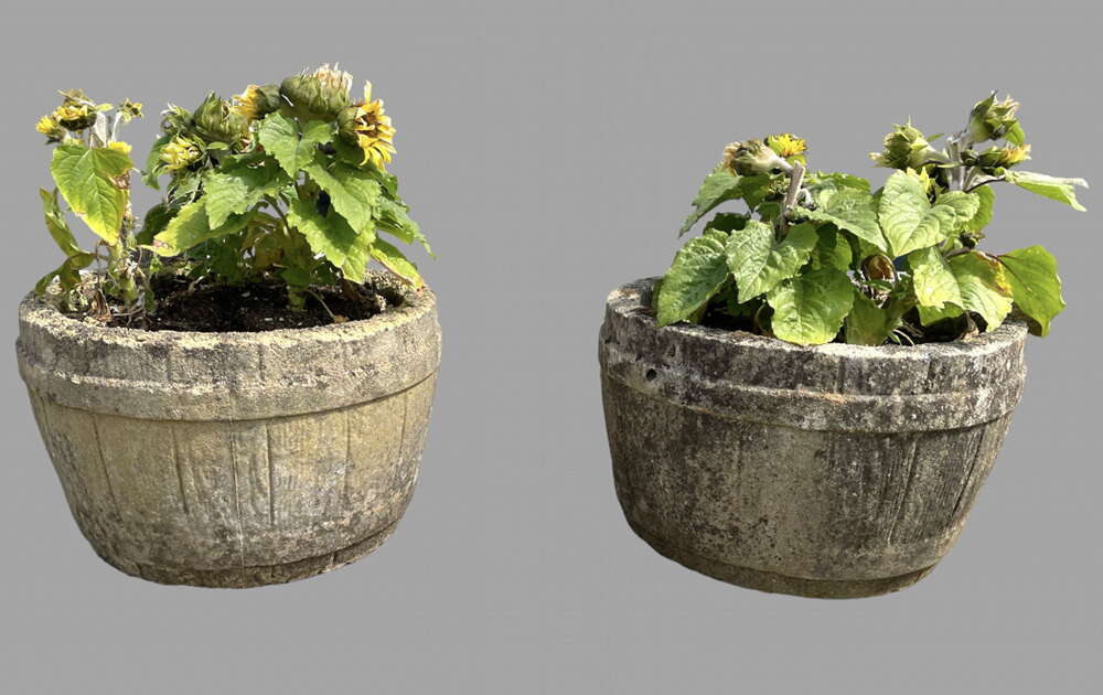 A Pair of c1950 Garden Barrel Planters