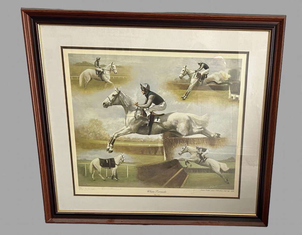 Desmond Snee - Desert Orchid Ltd Edition Signed No 26/850