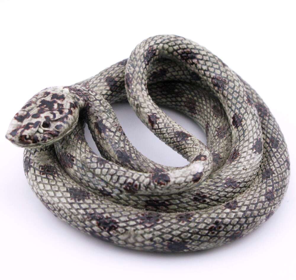 19th-century French earthenware model of a snake, probably Saint-Honor&eacute;-les-Bains, Palissy