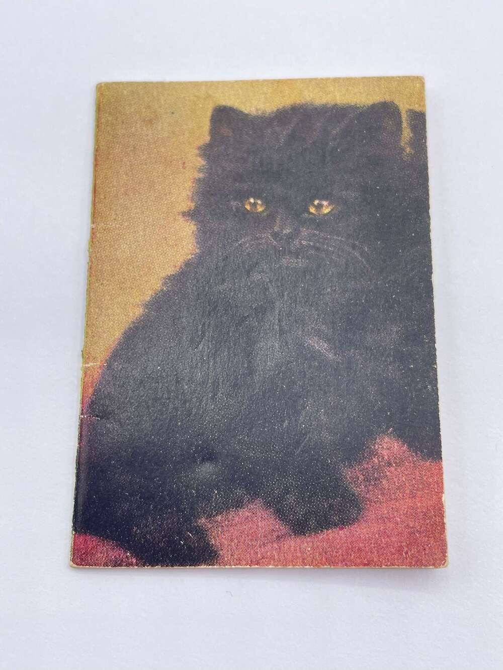 Vintage 1947 Raphael Tuck & Sons Lucky Black Cat Complete Mini Pocket Calendar