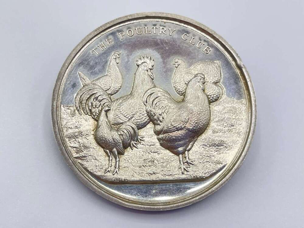 Antique Converted Silver Hallmarked 1924 The Poultry Club Medal Brooch