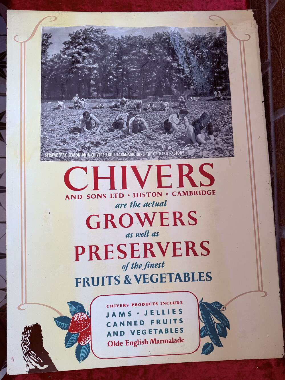 Advertising Show Card - Chivers Jam. On Bakelite.