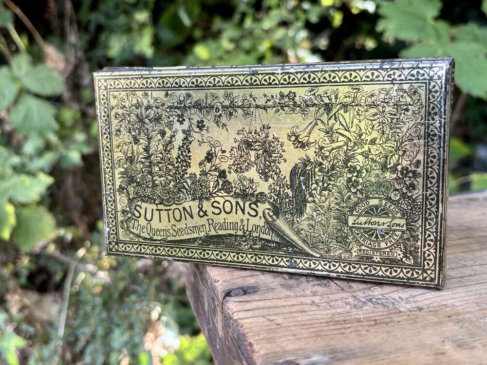 Early Sutton & Son Seeds Gardening Flower Queens Guardsman Tin c1890s