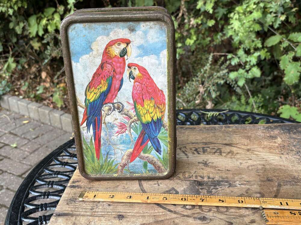 Pictorial Parrot Bird Image Toffee Tin c1930s