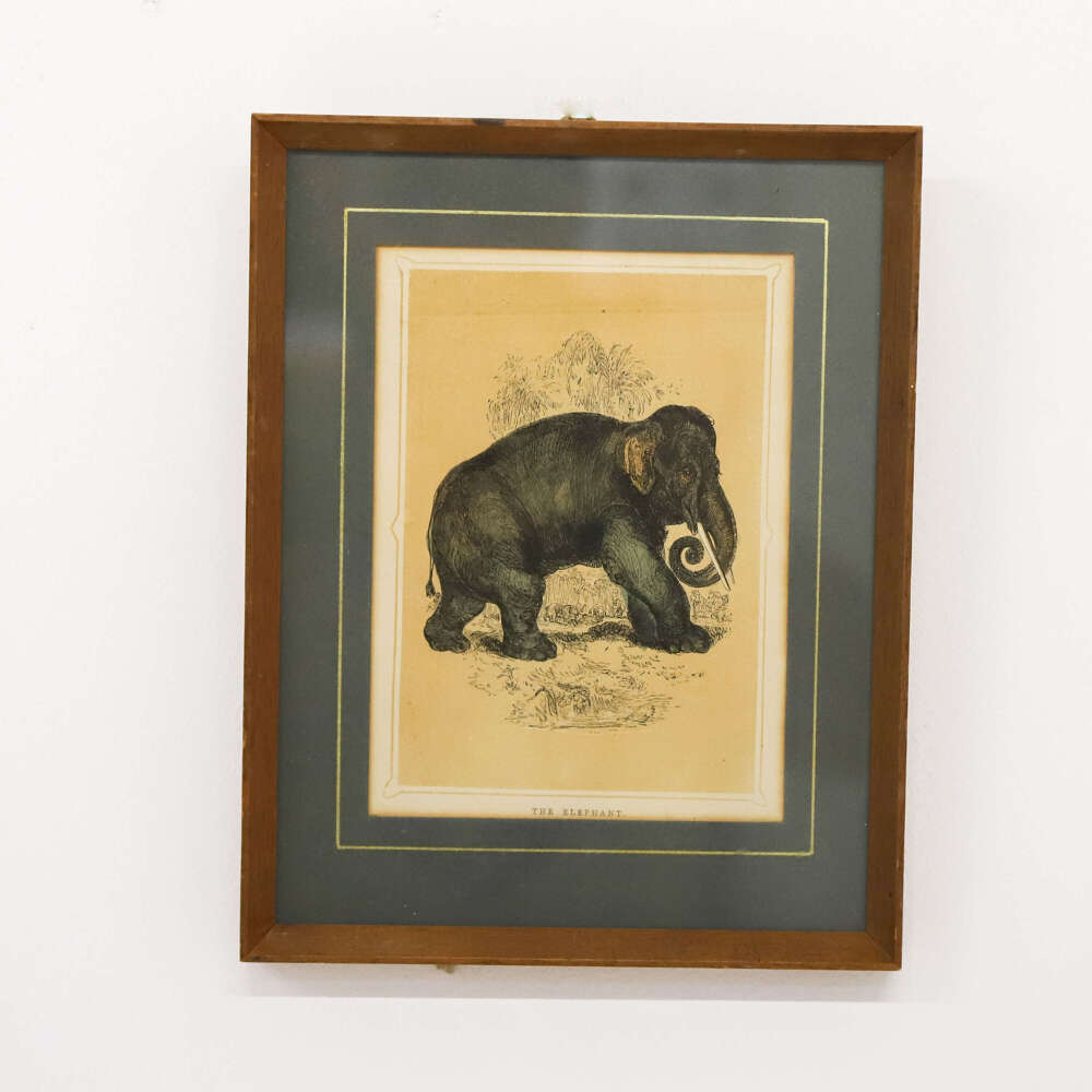 19th Century Indian Elephant Print &mdash; Ink on Paper, Circa 1880