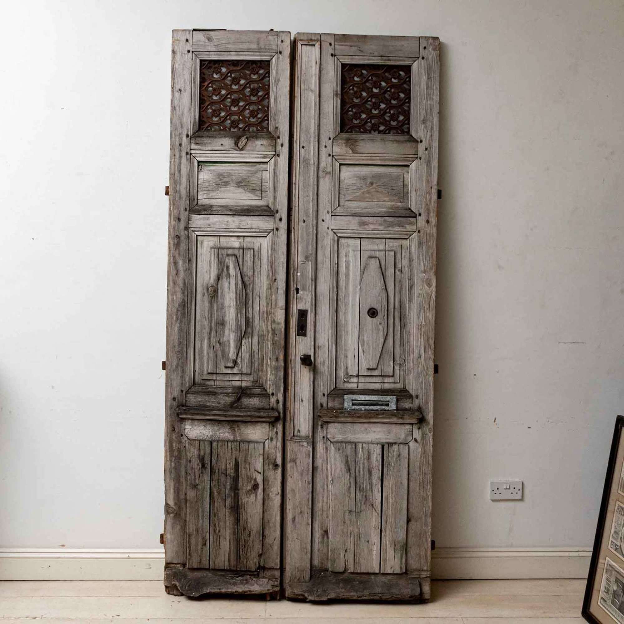 French C19th, pair of wood & metal doors