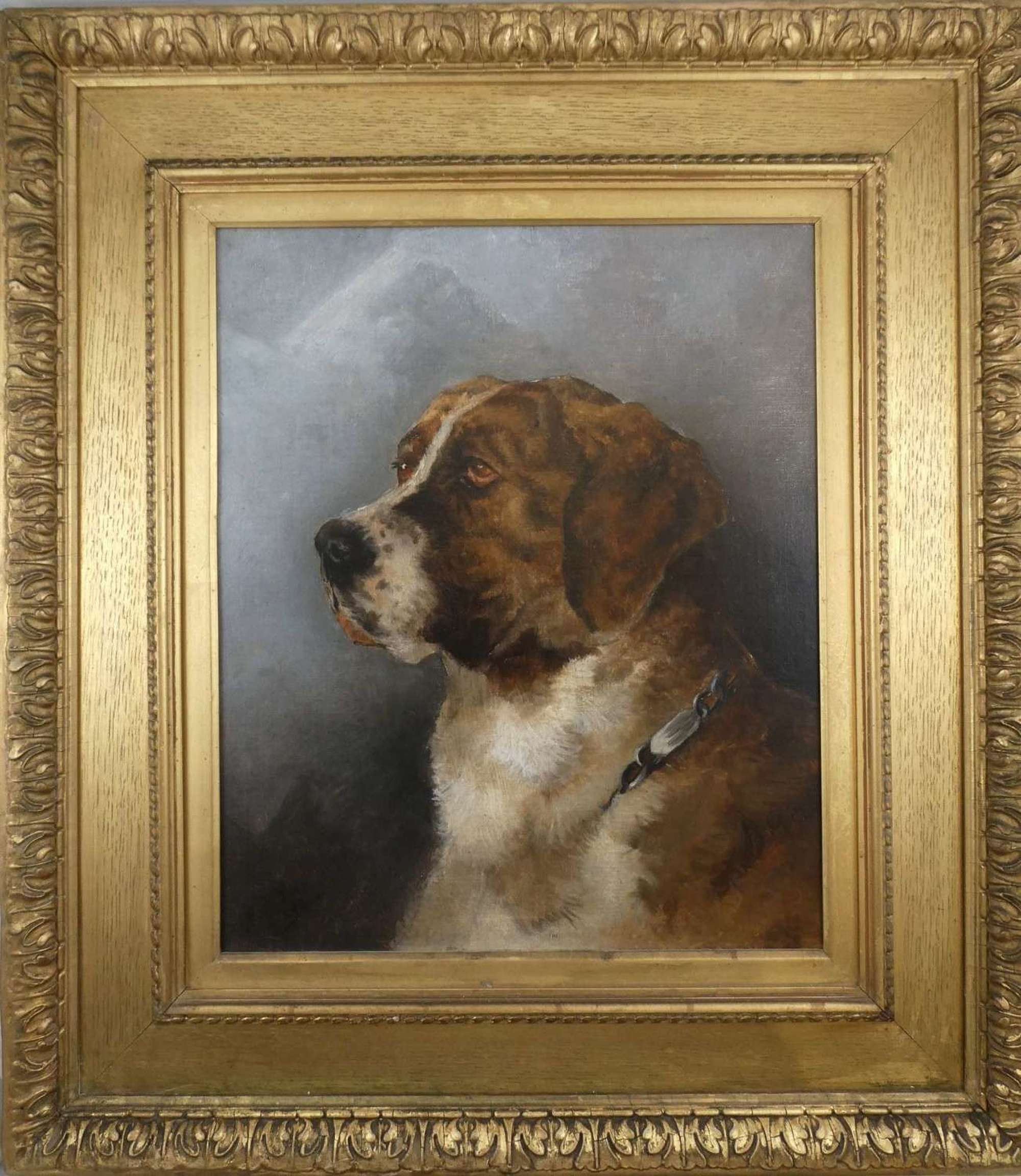 Oil Painting of a St Bernard Dog