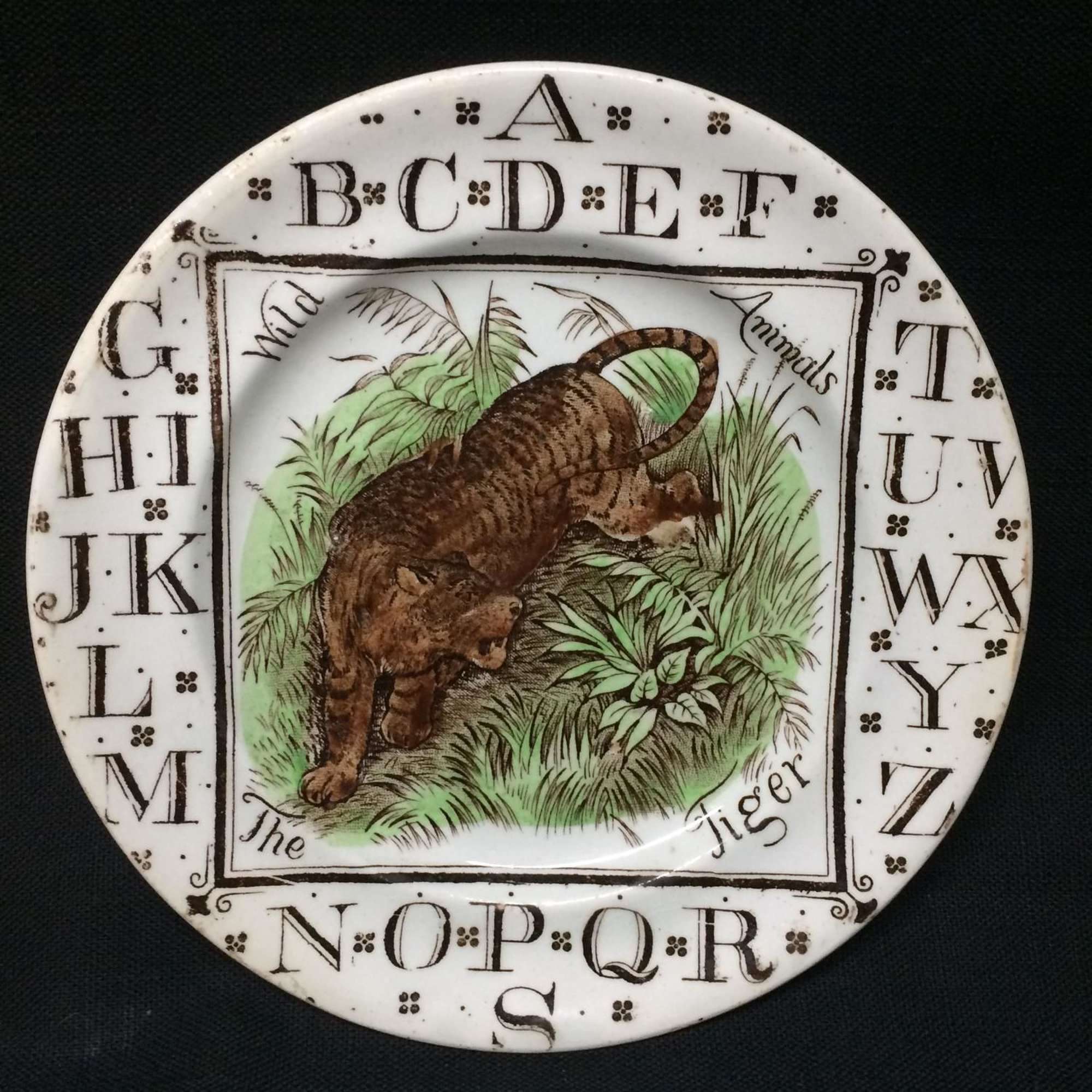 1880 ~ Staffordshire Child’s  ABC Plate ~ The TIGER