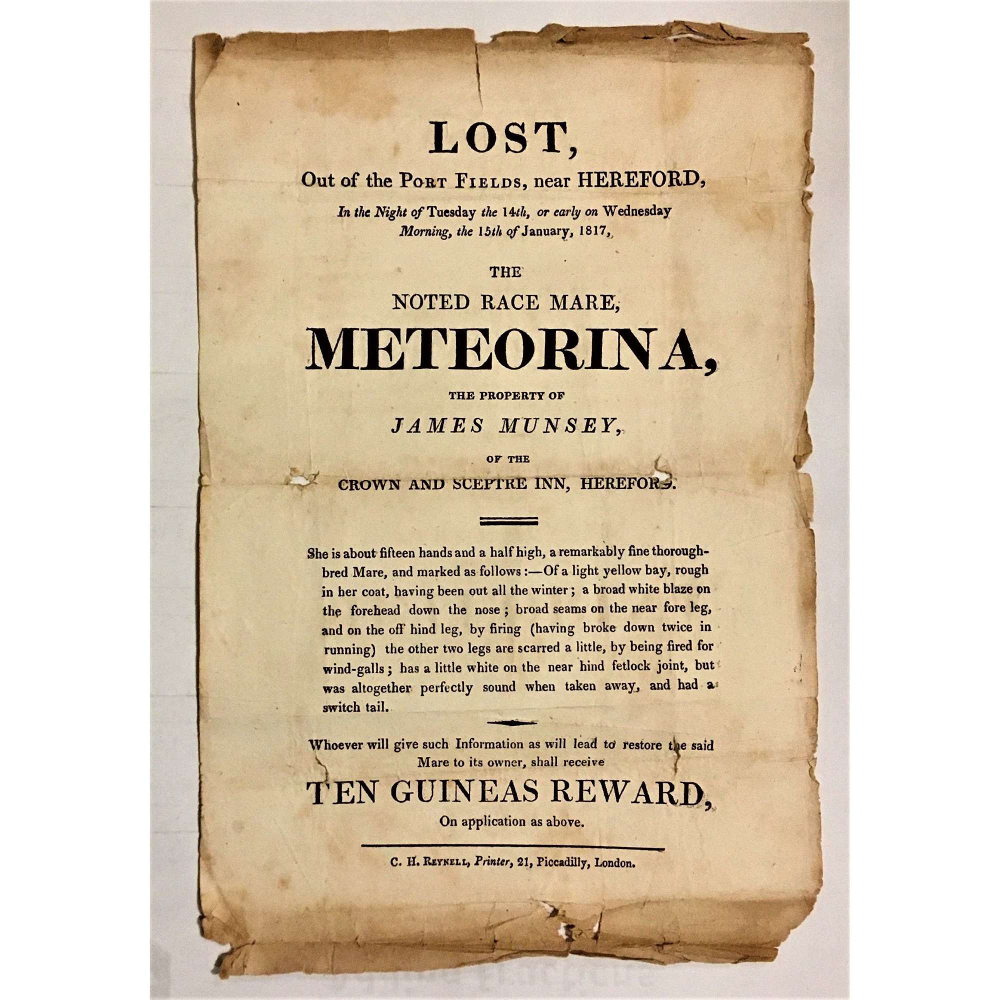 19th Century letterpress handbill or small poster for a missing horse