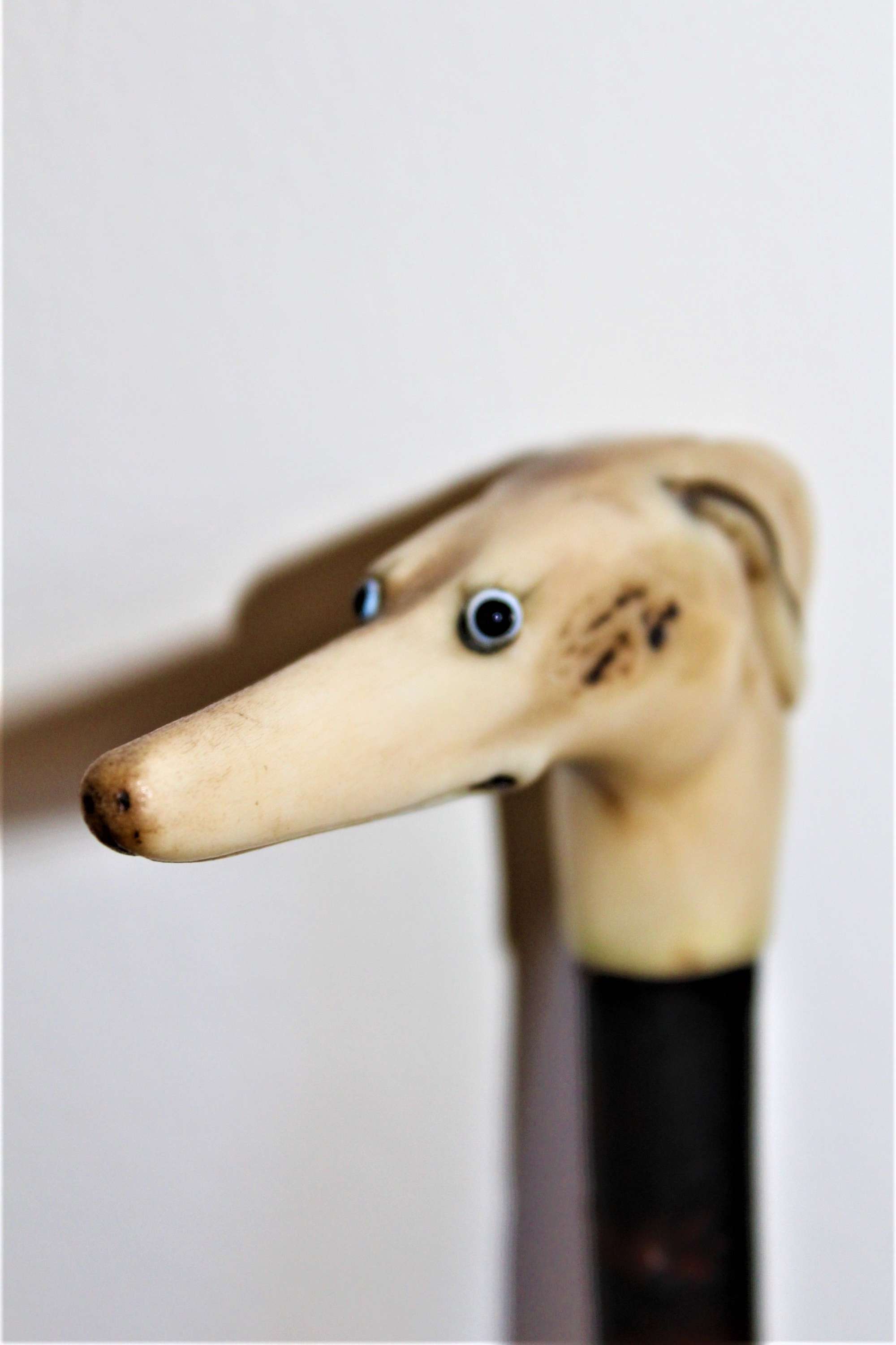 A Rustic Walking Stick With A Carved Staghorn Handle Of A Dogs Head