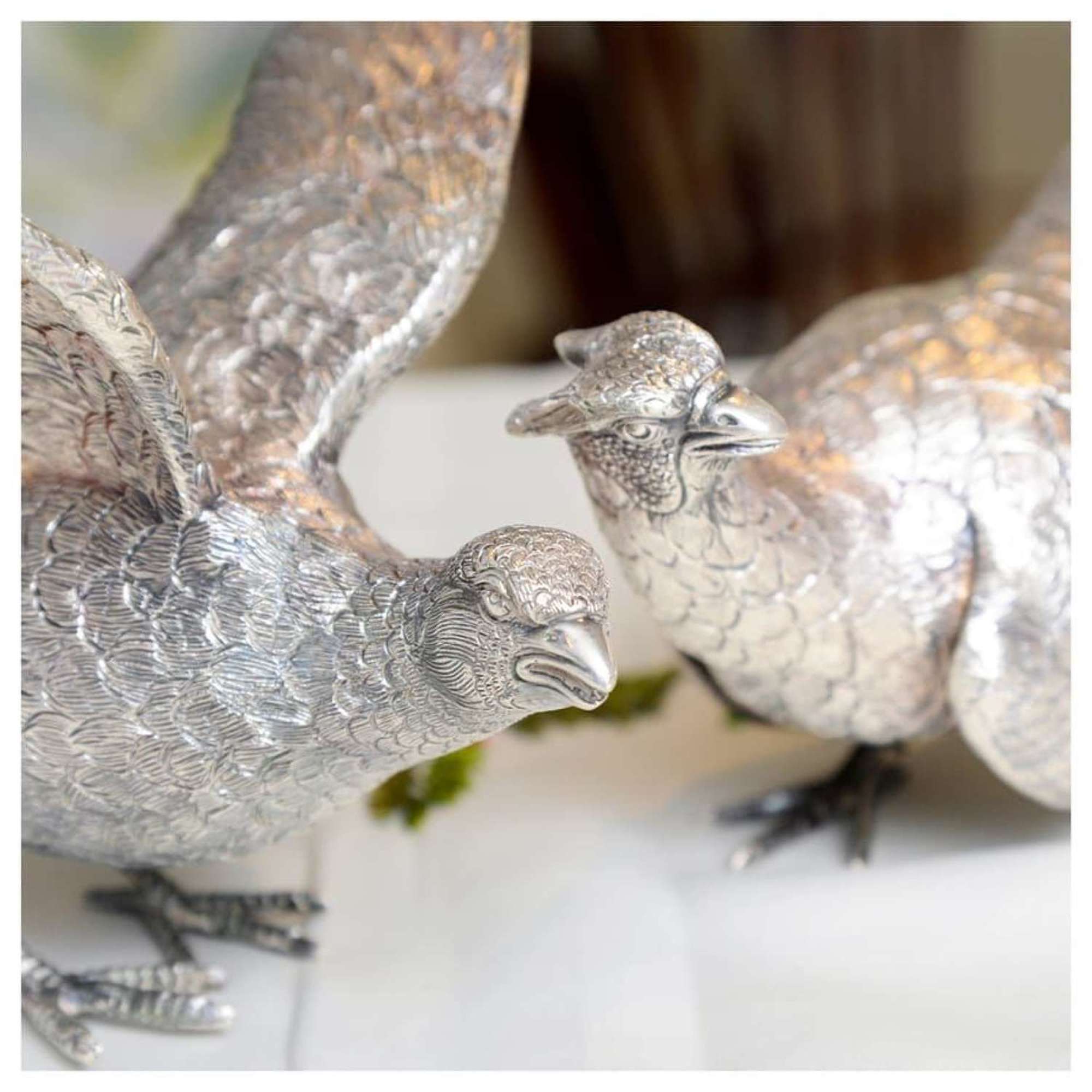Pair of silver pheasants - by C. J. Vander