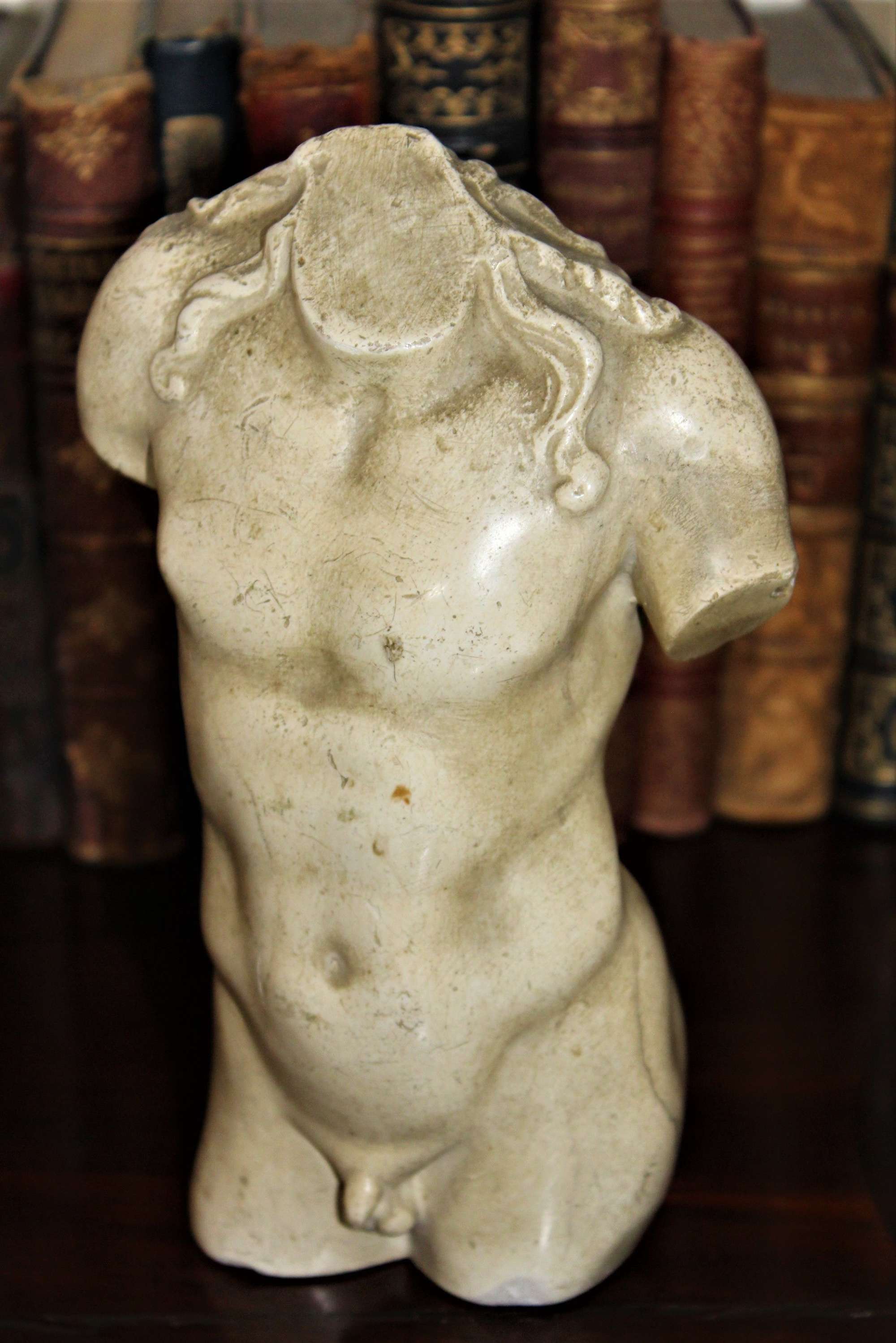 A Small Well Defined Classical Male Torso In Plaster