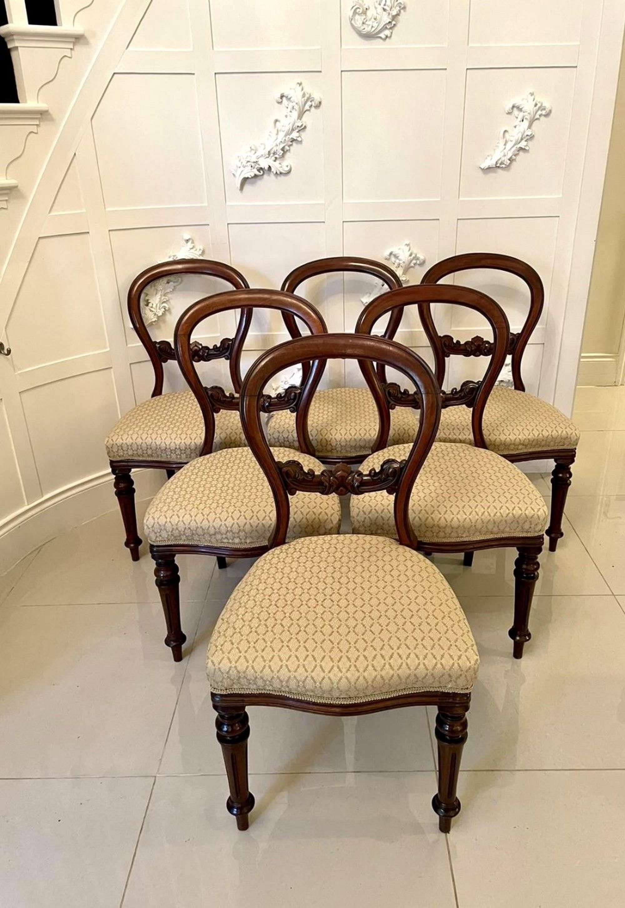 Quality Set Of  Six Victorian Mahogany Balloon Back Antique Dining Chairs