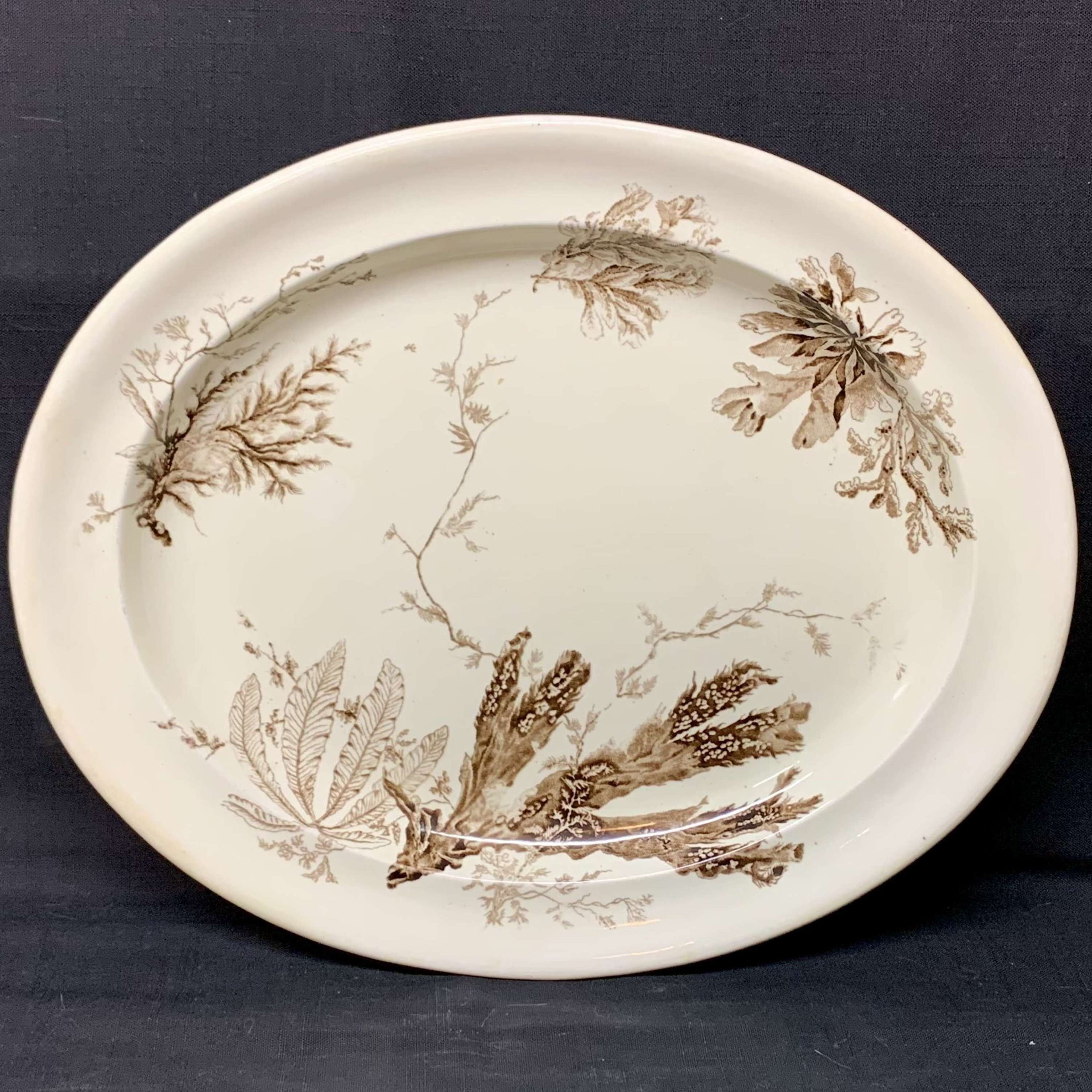 Wedgwood Brown Transferware Large Platter ~ Seaweed 1883