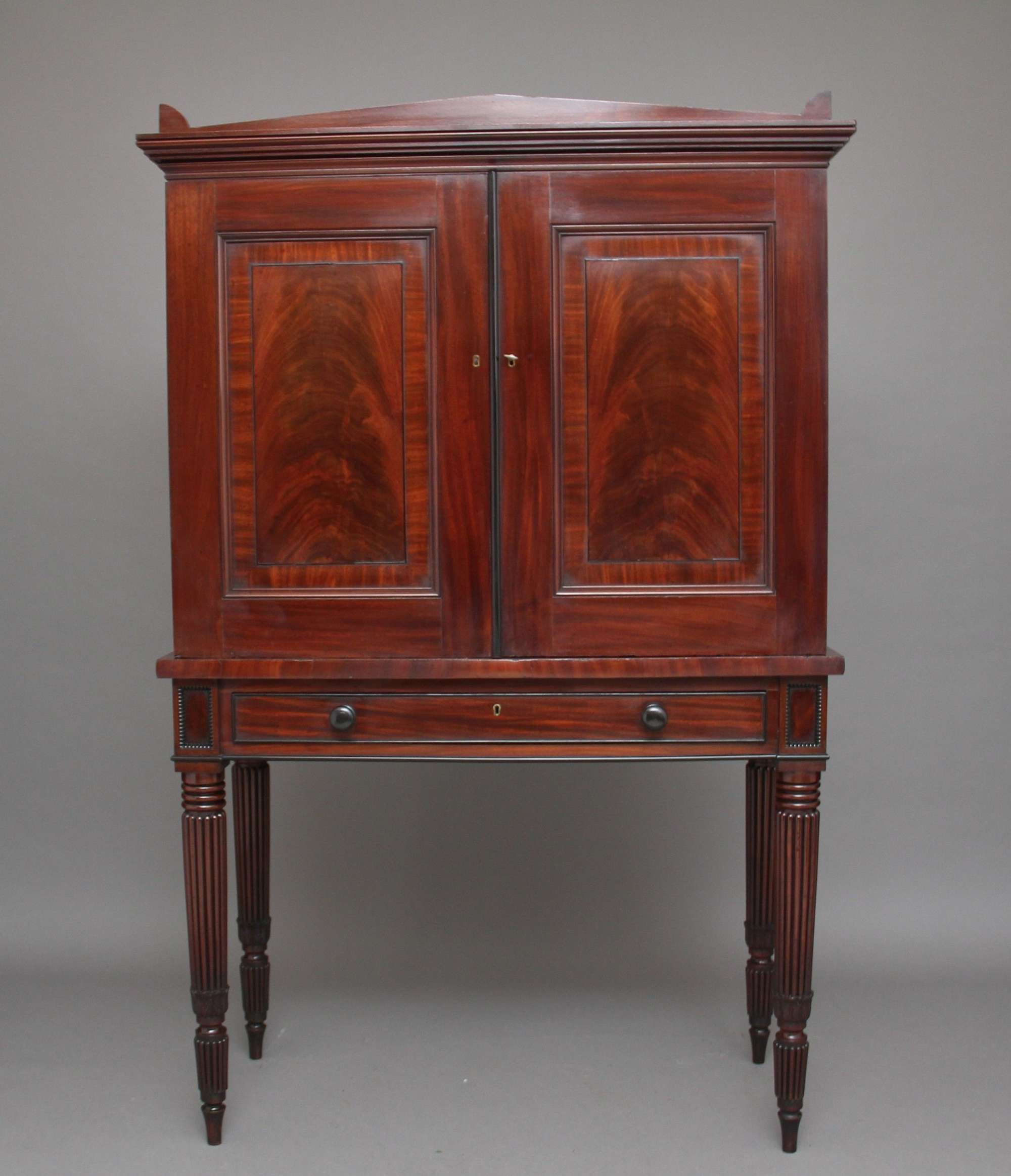 Early 19th Century Mahogany Collectors Cabinet