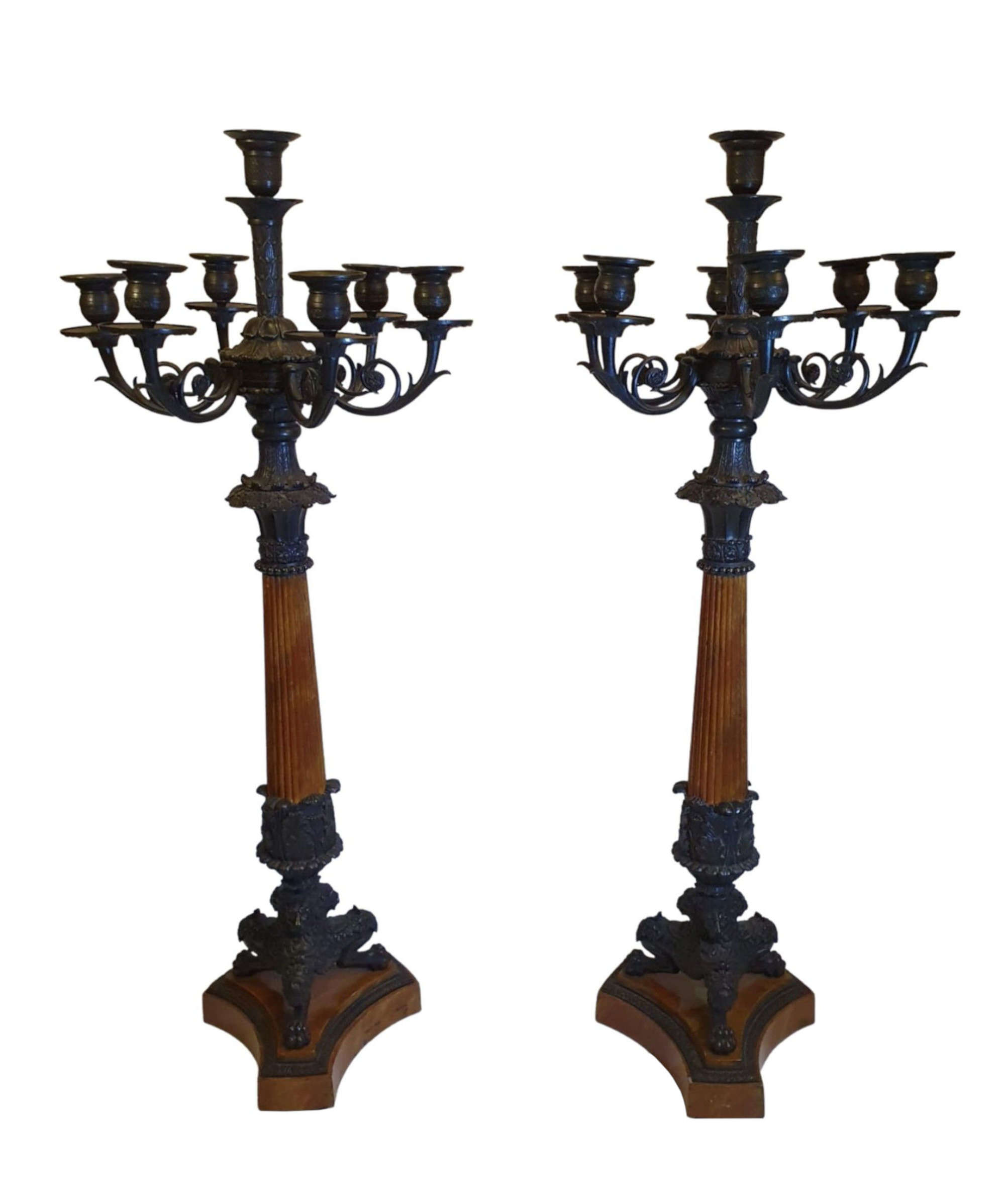 A Rare Pair Of 19th Century Bronze Antique Candelabra In The Empire Style