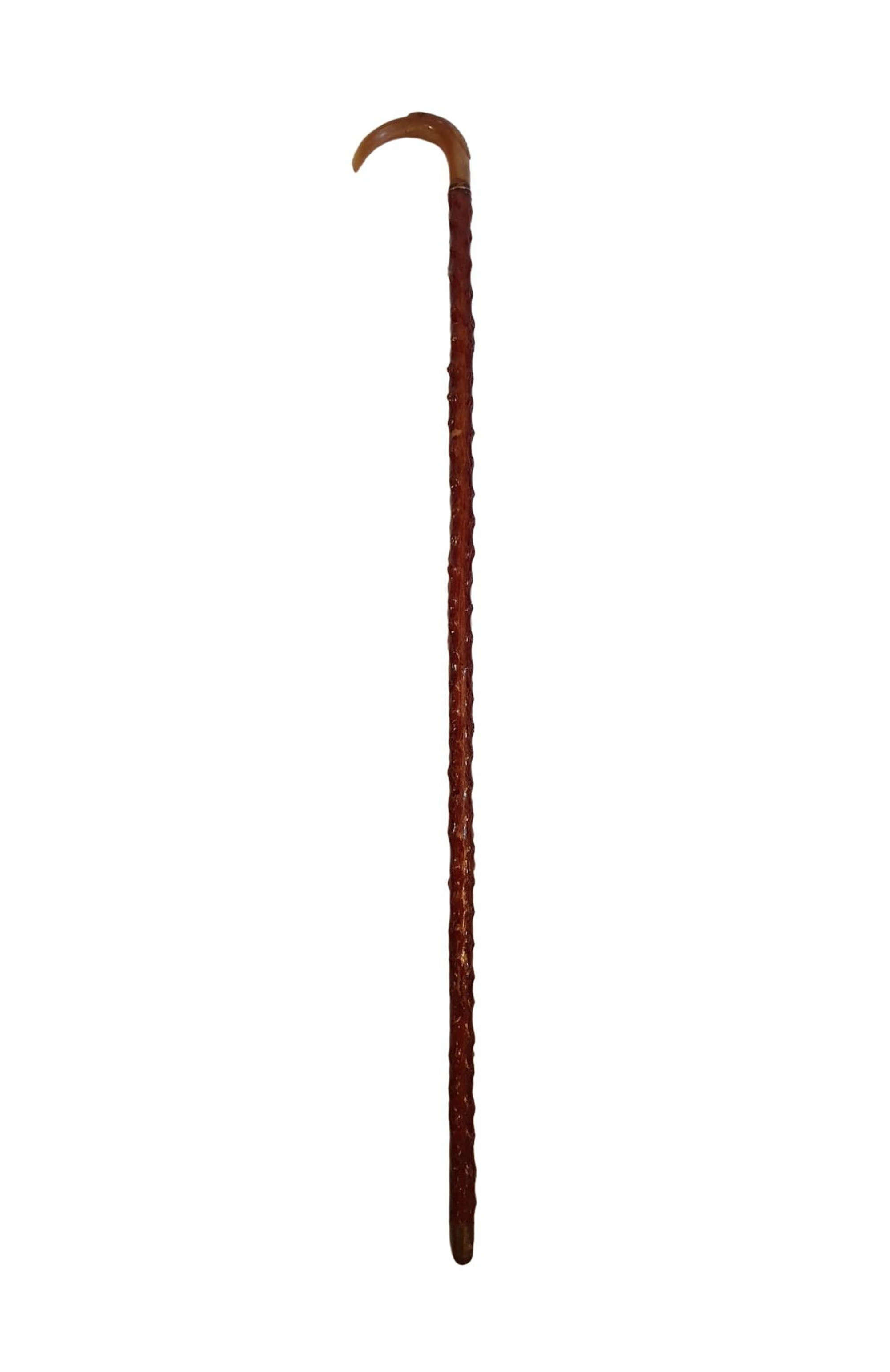 A Rare 19th Century Walking Stick With Carved Bird Head Handle